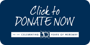 3130 Charity Web Assets 4